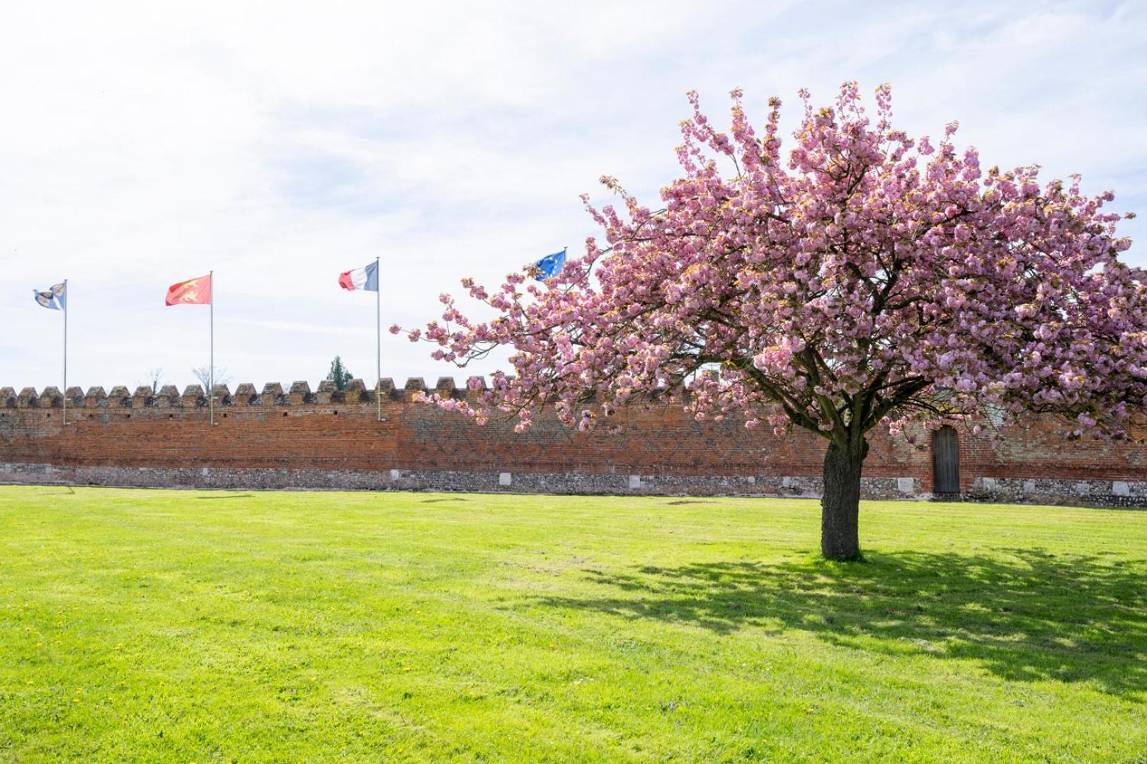 Chateau De Tilly Boissey-le-Chatel Экстерьер фото